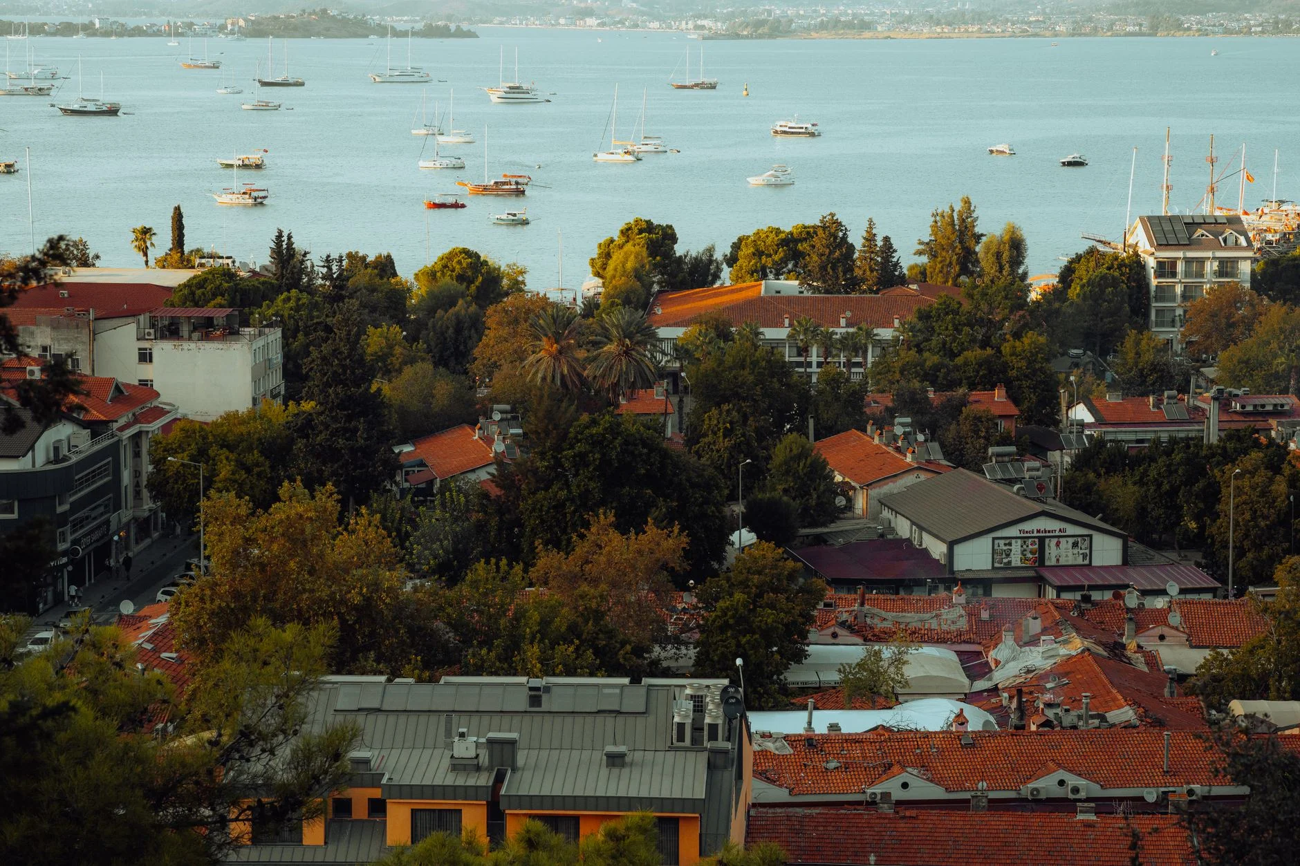 A vibrant coastal cityscape featuring sailboats and lush greenery.